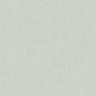 N05804